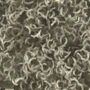 c5590_maggot_a_l.png