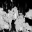 c5590_oil_weapon_1m_l.png