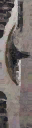 c5740_WP_A_0911_a_l.png