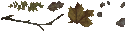 c5780_Dirt_a_l.png