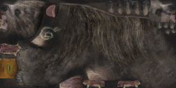 c5780_a_l.png