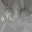 c5840_Fur_color_a_l.png