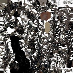 c5860_Leather_a_l.png