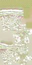 c5980_AM_n_l.png