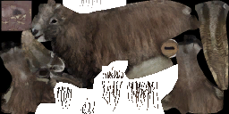 c6060_a_l.png