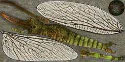 c6081_a_l.png