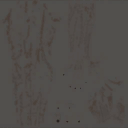 c6232_FC_a_l.png
