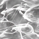 c6260_Wingeffect_a_l.png