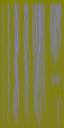 c6290_Hair_n_l.png