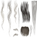 c6291_Fur_a_l.png