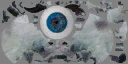 c6310_Astail_a_l.png