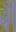 c6320_WP_A_0252_n_l.png