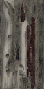 c7100_WP_A_0456_a_l.png