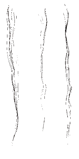 c8904_Hair_a_l.png