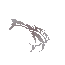 c8906_Tattoo_a_l.png