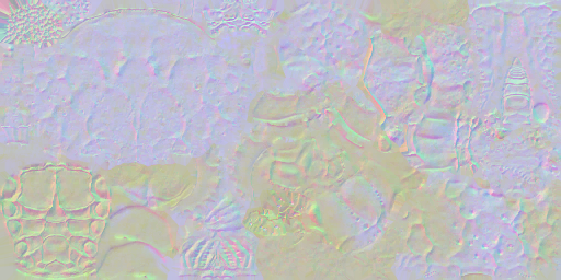 c2275_Body_n.png