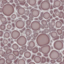 c3361_Foam_a.png