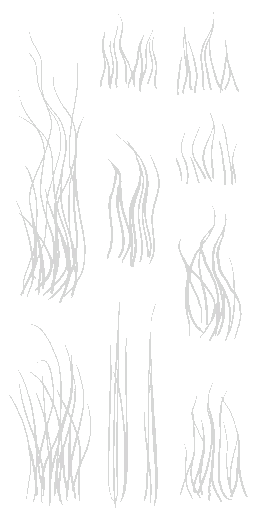 c3970_Fur_a.png