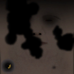 c3010_face_a.png