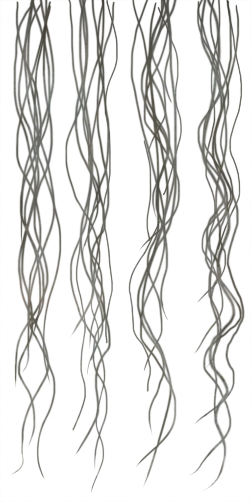 c3010_hair_a.png