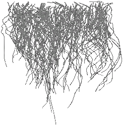 c4164_fur3_a.png