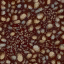 c4165_Tick_a.png