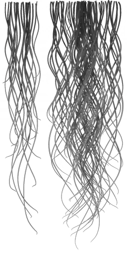 c3050_Fur_HM_a.png