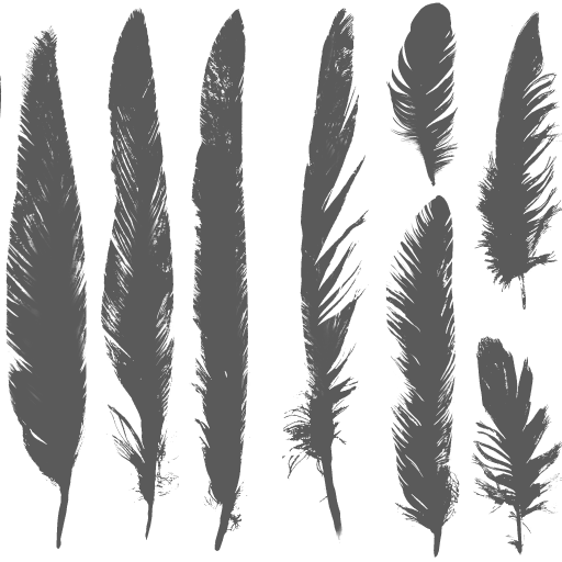 c2500_feather_a.png
