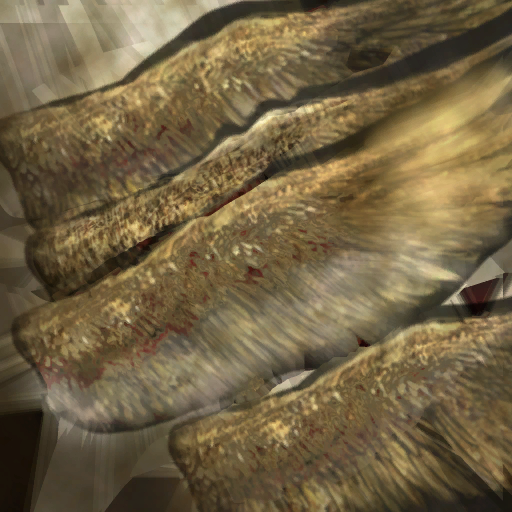 c2500_feather_color_a.png