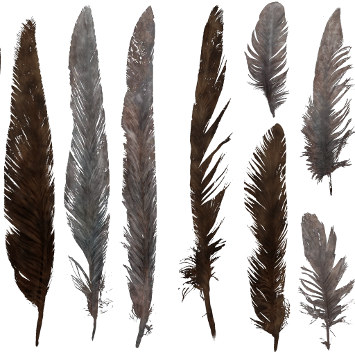 c4980_feather_a.png