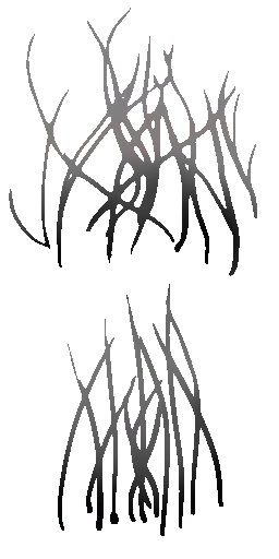 c4110_Fur_a.png