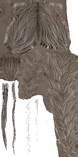 c3070_Hair_a.png