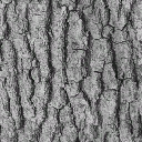 c3250_WP_Shield_bark_a.png