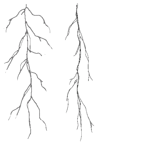 c2200_vessels_a.png