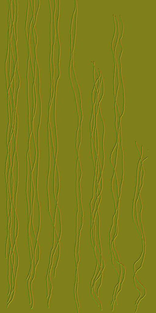 c3670_hair_n.png