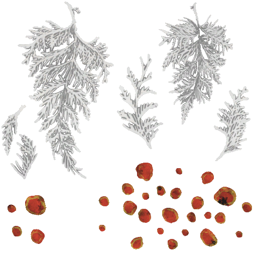 c4811_PartsC_a.png
