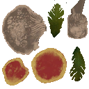 c4811_mushroom_a.png