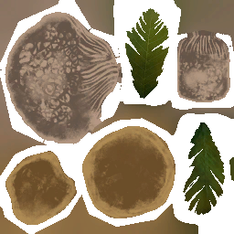 c4810_mushroom_a.png