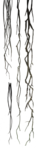 c3650_FC_hair_a.png