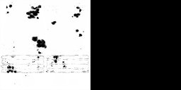 c3000_AM_m.png