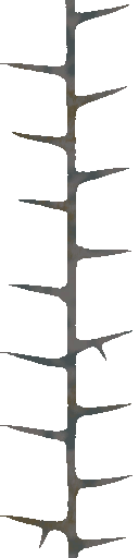 c3000_Thorn_a.png