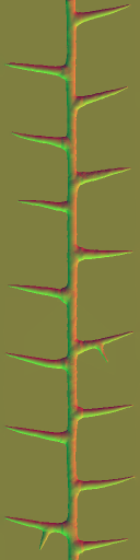 c3000_Thorn_n.png