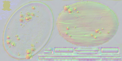 c3000_WP_SmallShield_n.png