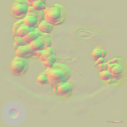 c3000_face_n.png