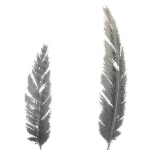 c4500_Feather_2_a.png