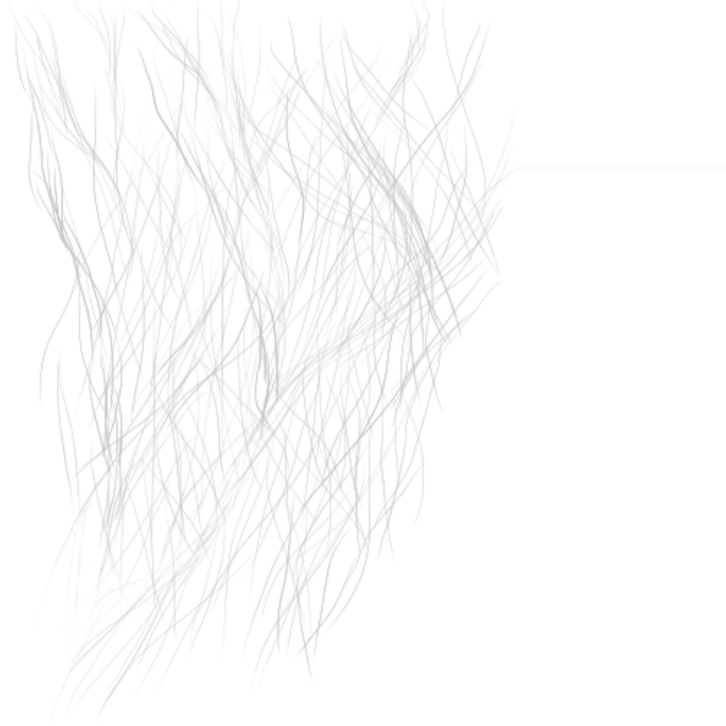 c3201_spiderNet_a.png