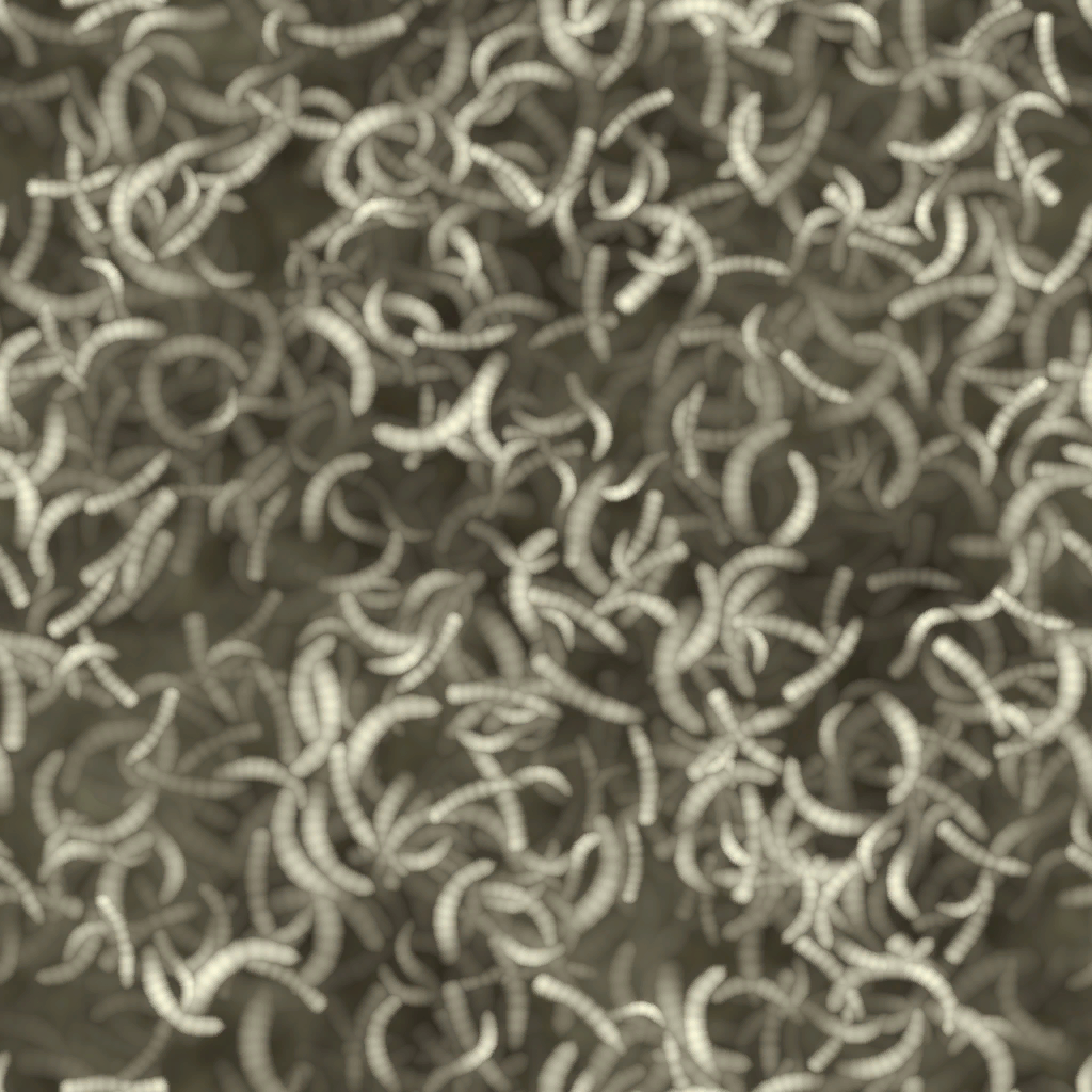 c2272_maggot_a.png