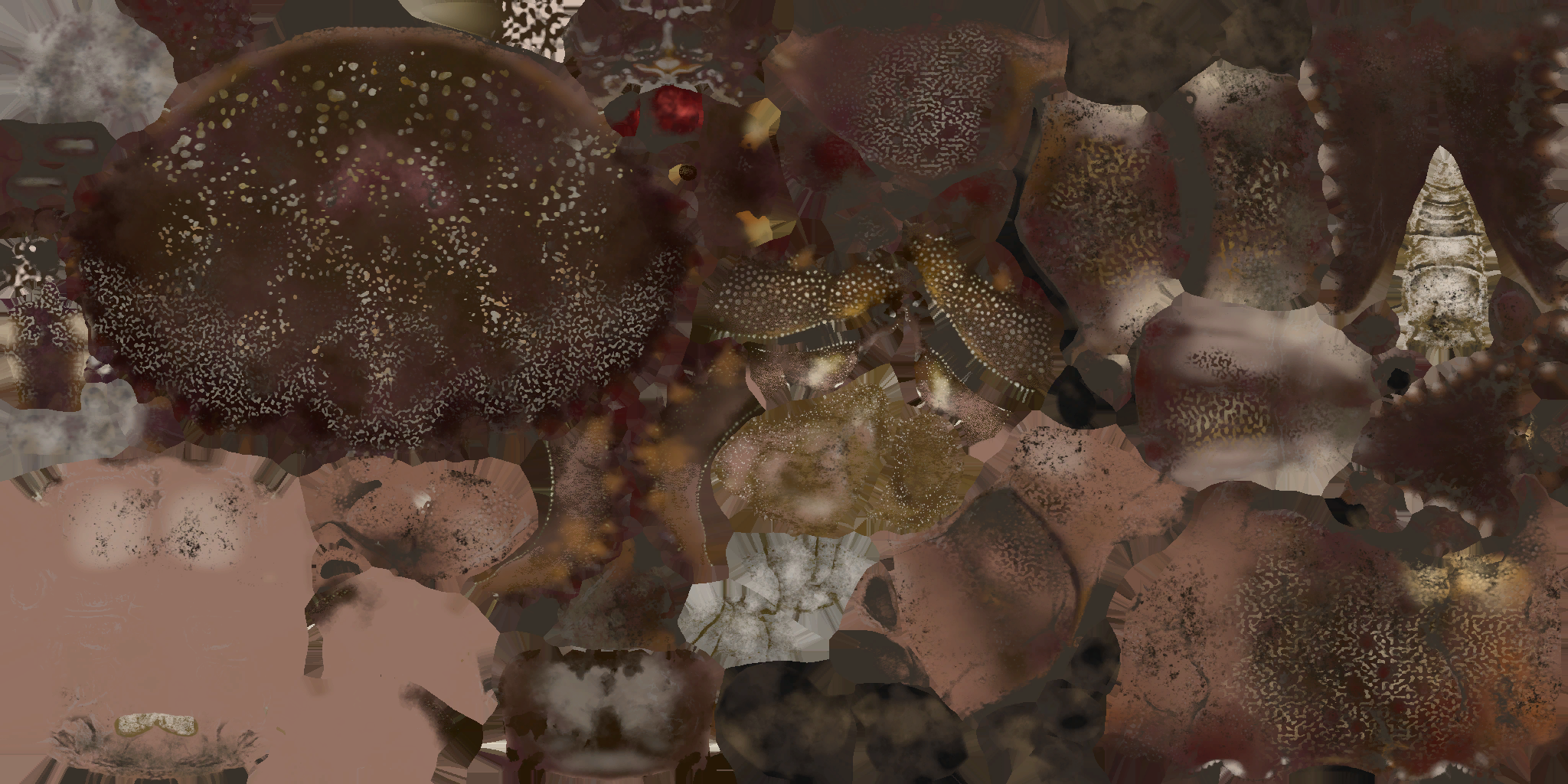 c2270_crab_a.png