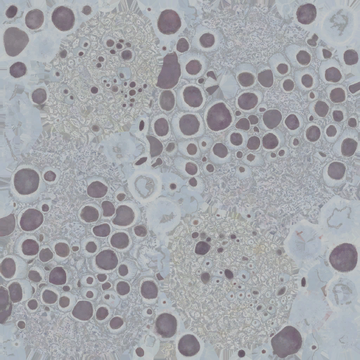 c4442_Mushroom2_a.png