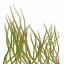 c4090_HAIR02_n.png